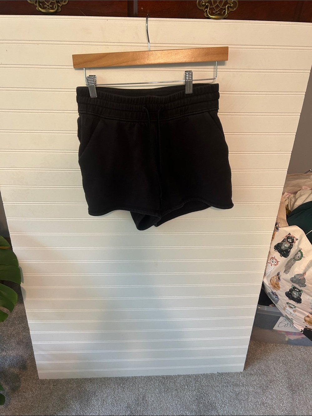 Public Rec Shorts